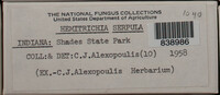 Image Associated With the Occurence